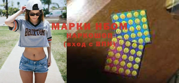 гашик Алексин