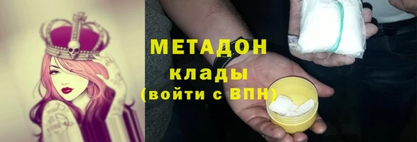 гашик Алексин